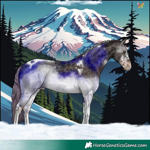 Horse Color:Liver Chestnut Sabino Tobiano Rabicano 