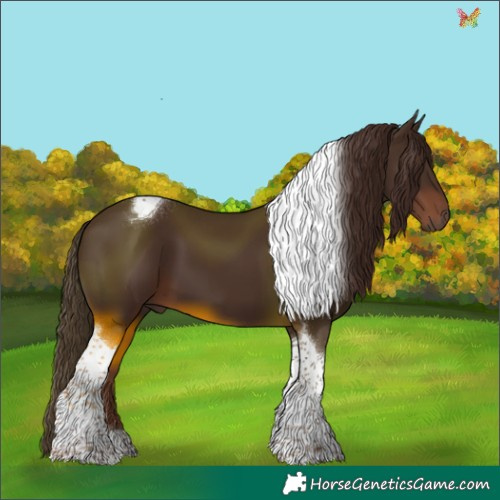 Horse Color:Liver Chestnut Tobiano 