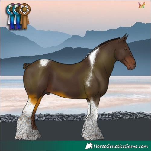 Horse Color:Liver Chestnut Tobiano 