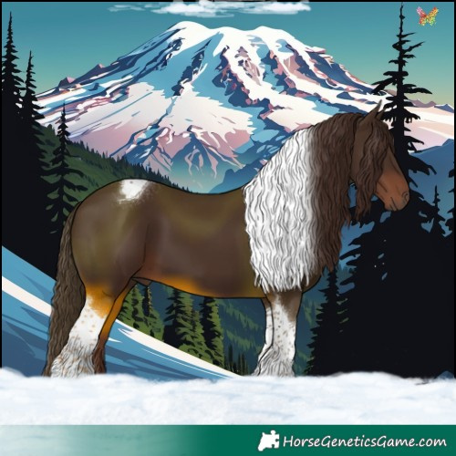 Horse Color:Liver Chestnut Tobiano 