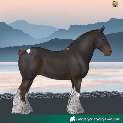 Horse Color:Liver Chestnut Tobiano 
