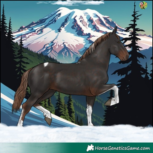 Horse Color:Liver Chestnut Tobiano 