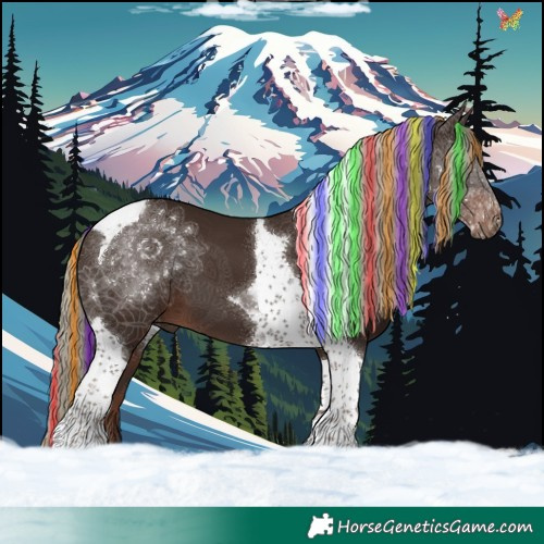 Horse Color:Painted Liver Chestnut Tobiano 