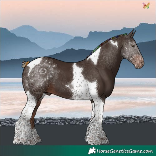 Horse Color:Painted Liver Chestnut Tobiano 