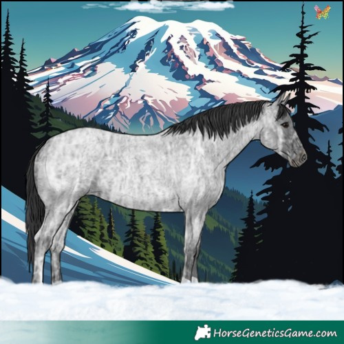 Horse Color:Blue Ice Roan 