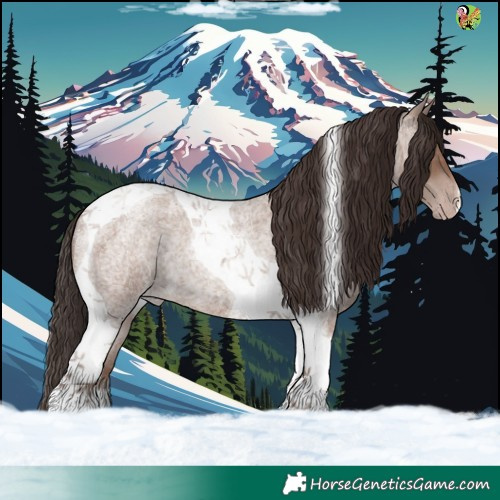 Horse Color:Classic Champagne Roan Tobiano 