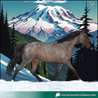 Horse Color:Liver Red Roan 