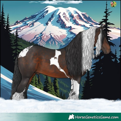 Horse Color:Brown Tobiano 