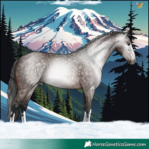 Horse Color:Gray Bay 
