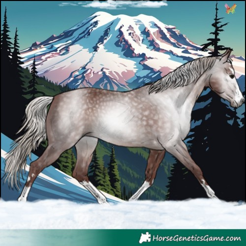 Horse Color:Gray Chocolate Silver Black 