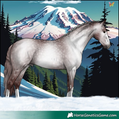 Horse Color:Gray Chocolate Black 