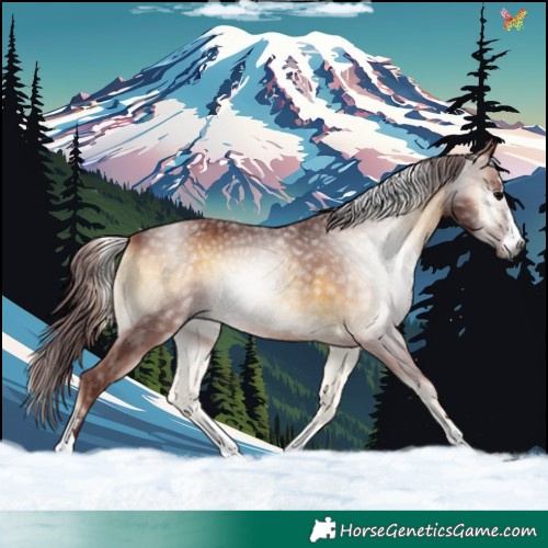 Horse Color:Gray Chocolate Brown Onyx 