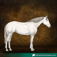 Horse Color:Perlino Dun Tobiano 