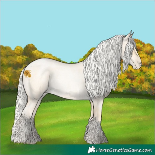 Horse Color:Silver Buckskin Roan Pearl 
