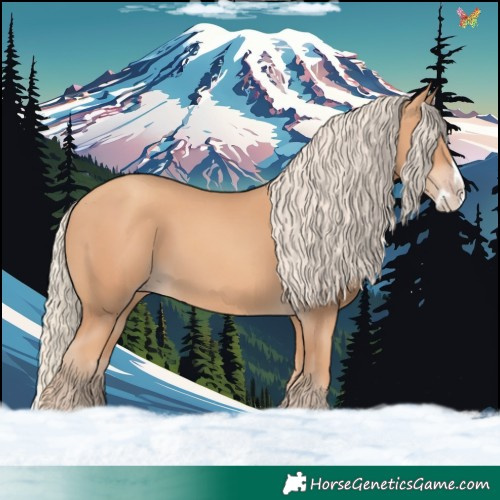 Horse Color:Gold Champagne Splash