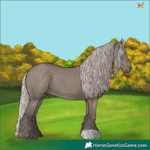 Horse Color:Silver Grullo 