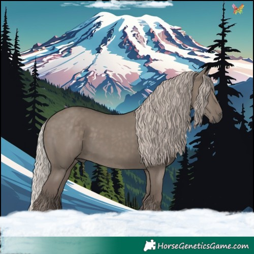 Horse Color:Silver Grullo 