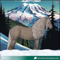 Horse Color:Silver Grullo 