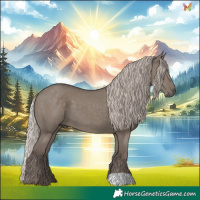 Horse Color:Silver Grullo 