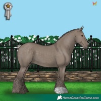 Horse Color:Silver Grullo