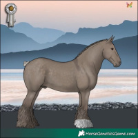 Horse Color:Silver Grullo 