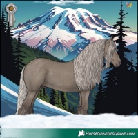 Horse Color:Silver Grullo 