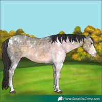 Horse Color:White Spotted Buckskin Ice 
