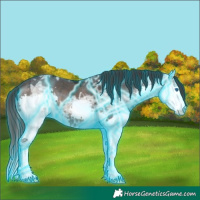 Horse Color:Thunderstruck Brown Ice Splash Varnish 