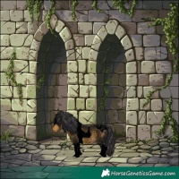 Horse Color:Void Buckskin Roan Tobiano