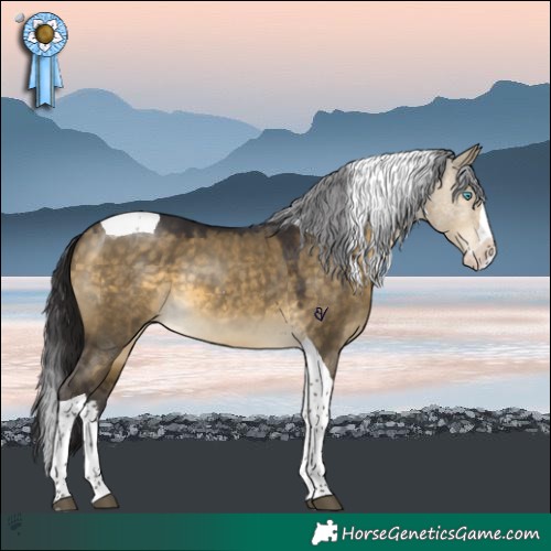 Horse Color:Buckskin Dun Splash Tobiano 