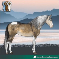 Horse Color:Buckskin Dun Splash Tobiano 