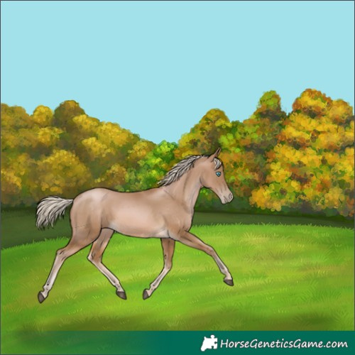 Horse Color:White Spotted Chocolate Palomino Pearl 