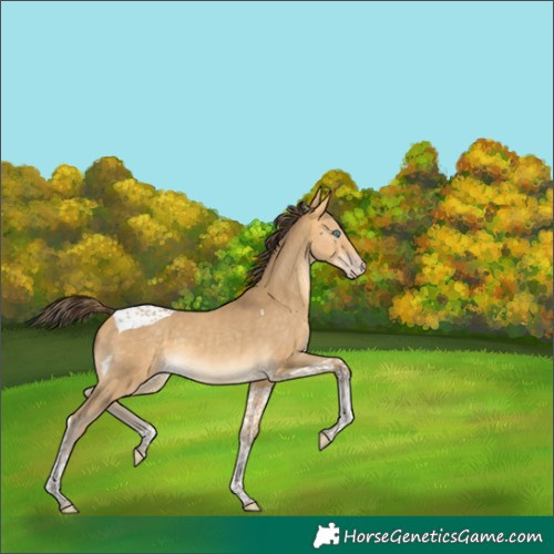 Horse Color:Amber Cream Champagne Tobiano 