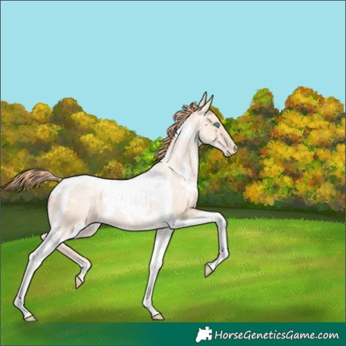 Horse Color:White Spotted Amber Cream Champagne Pearl Tobiano 