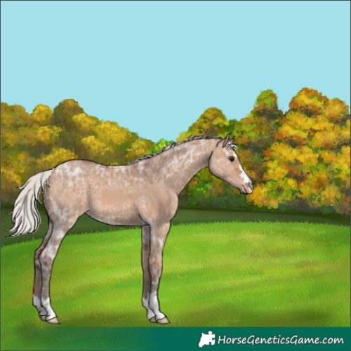 Horse Color:Silver Brown Ice Dun 