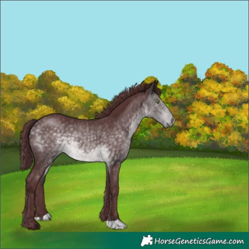 Horse Color:Platinum Chocolate Buckskin 