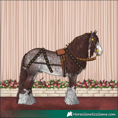 Horse Color:Platinum Chocolate Buckskin 