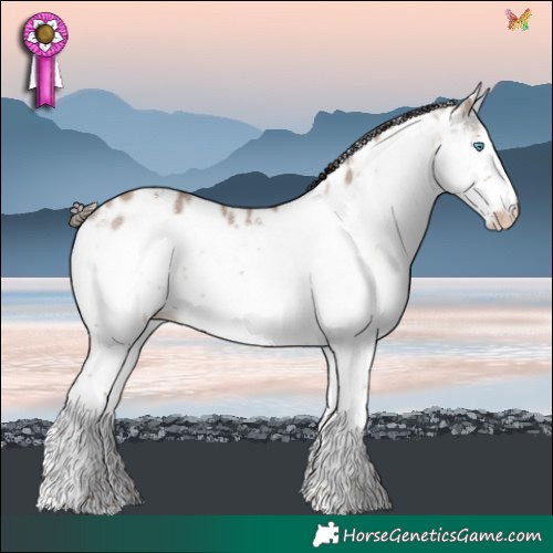 Horse Color:White Spotted Liver Red Dun Sabino Splash Frame Near Leopard Rabicano 