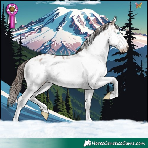Horse Color:White Spotted Liver Red Dun Sabino Splash Frame Appaloosa Rabicano 