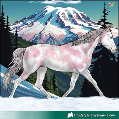 Horse Color:Watercolor White Spotted Silver Perlino Dun Splash Frame Rabicano 