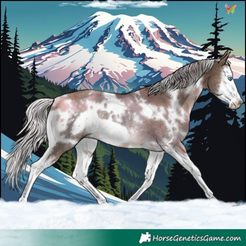 Horse Color:White Spotted Silver Brown Dun Splash Frame Rabicano 