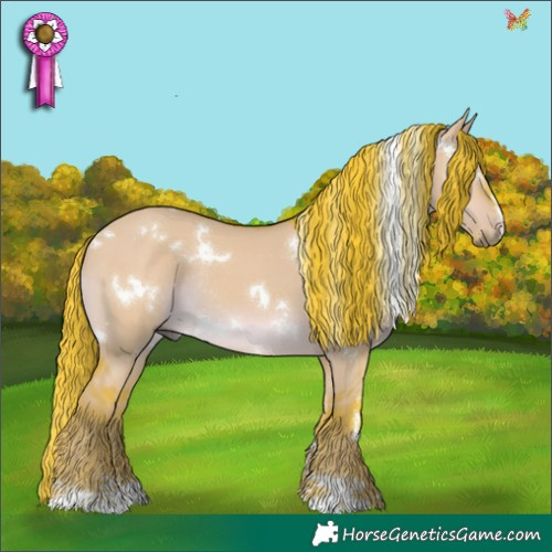 Horse Color:Watercolor White Spotted Liver Red Dun Rabicano 