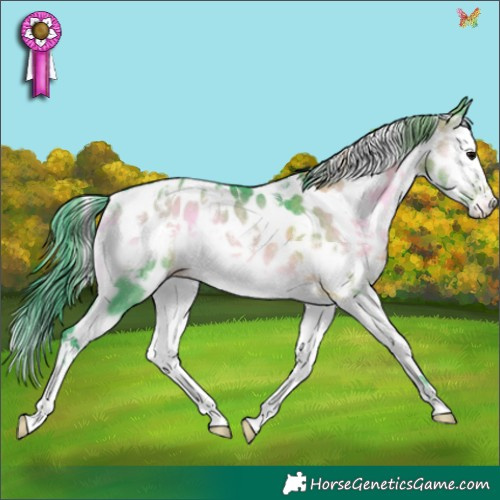 Horse Color:Watercolor White Spotted Brown Onyx Splash Frame Appaloosa Rabicano 