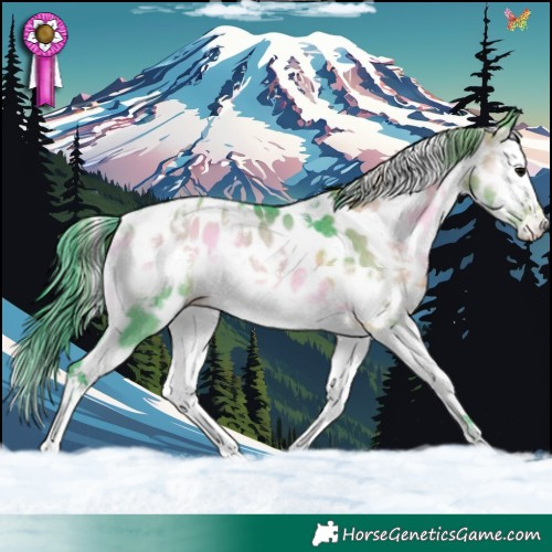 Horse Color:Watercolor White Spotted Brown Onyx Splash Frame Near Leopard Rabicano 