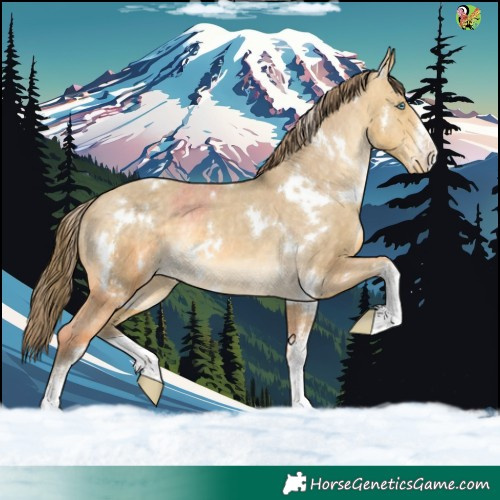 Horse Color:White Spotted Sable Cream Champagne Dun Varnish Rabicano 