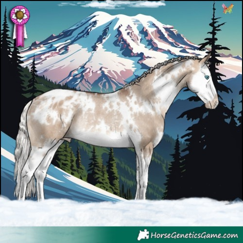Horse Color:White Spotted Silver Brown Dun Splash Appaloosa Rabicano 