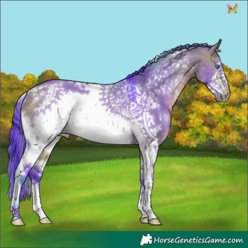 Horse Color:Watercolor White Spotted Buckskin Dun Frame Rabicano 