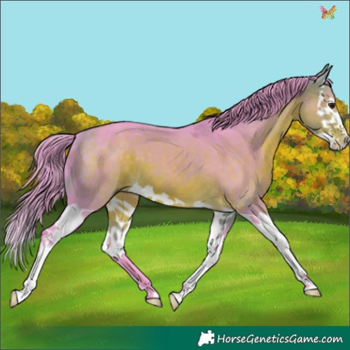 Horse Color:Watercolor Buckskin Splash 
