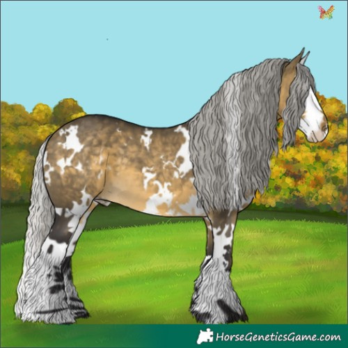 Horse Color:White Spotted Silver Buckskin Dun Splash