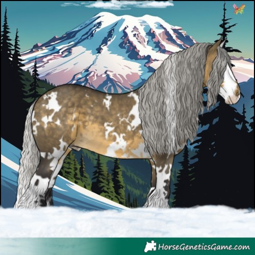 Horse Color:White Spotted Silver Buckskin Dun Splash 